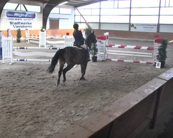 Reitturnier Viernheim 2019
