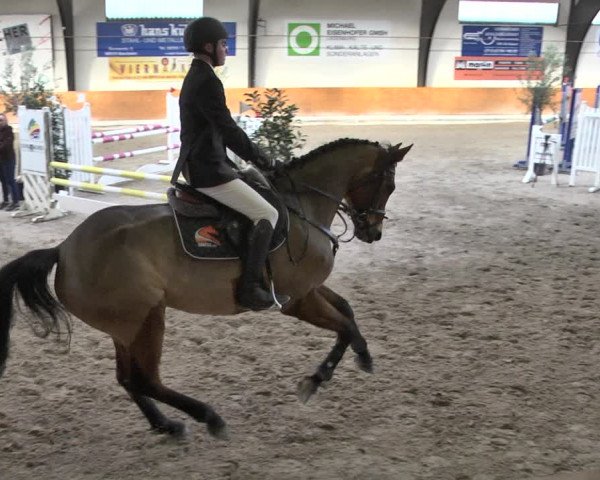 Reitturnier Viernheim 2019