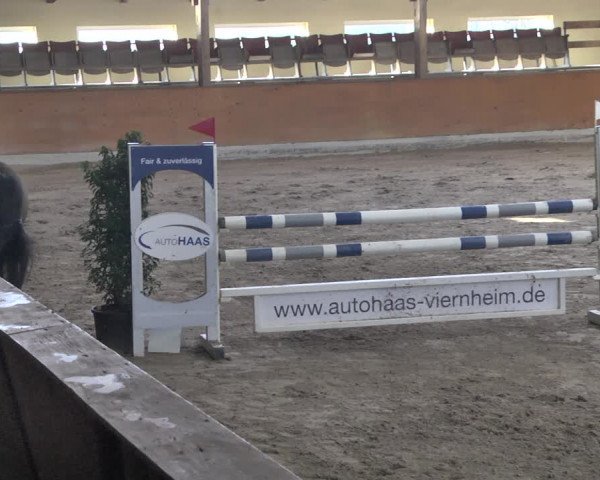 Reitturnier Viernheim 2019