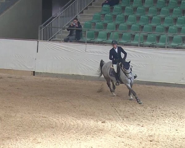 Reitturnier Kreuth/Opf. 2019