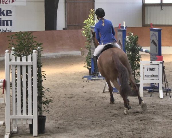 Reitturnier Viernheim 2019