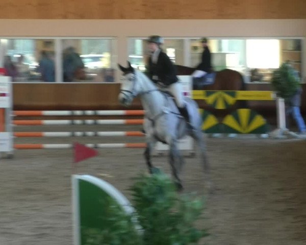 Reitturnier Dettingen 2019