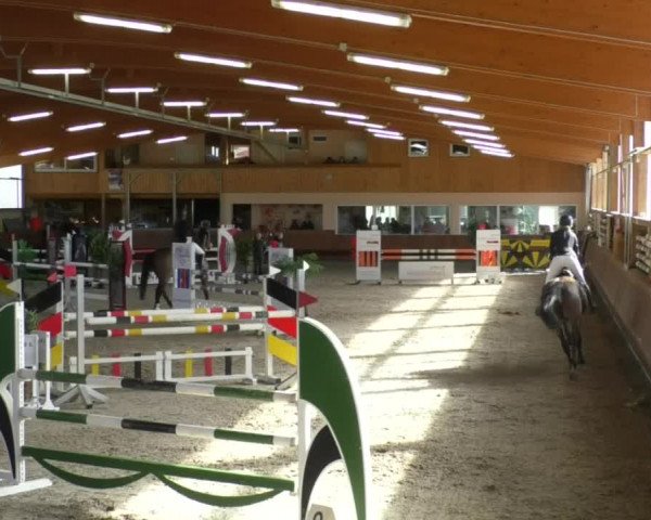 Reitturnier Dettingen 2019