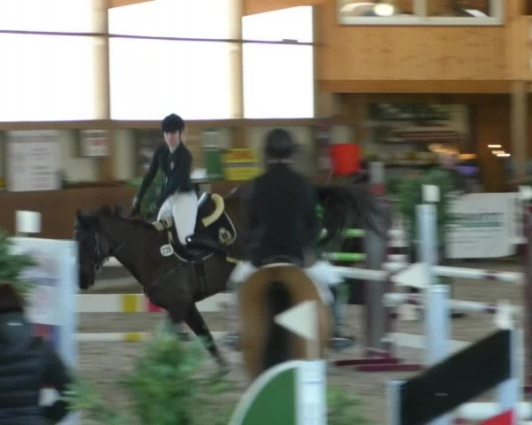 Reitturnier Dettingen 2019
