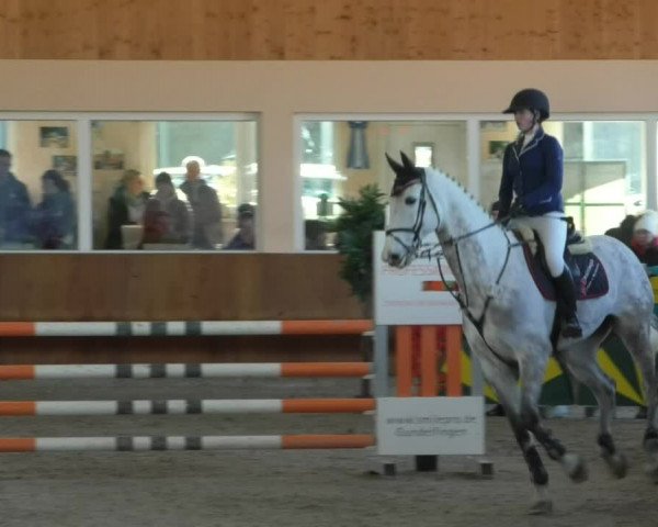 Reitturnier Dettingen 2019