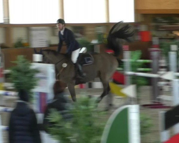 Reitturnier Dettingen 2019