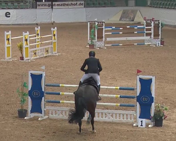 Reitturnier Kreuth/Opf. 2019