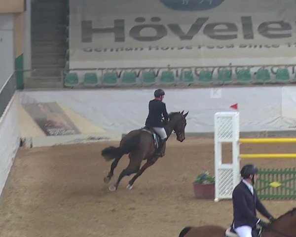 Reitturnier Kreuth/Opf. 2019