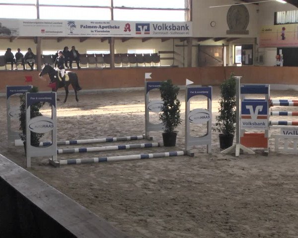 Reitturnier Viernheim 2019