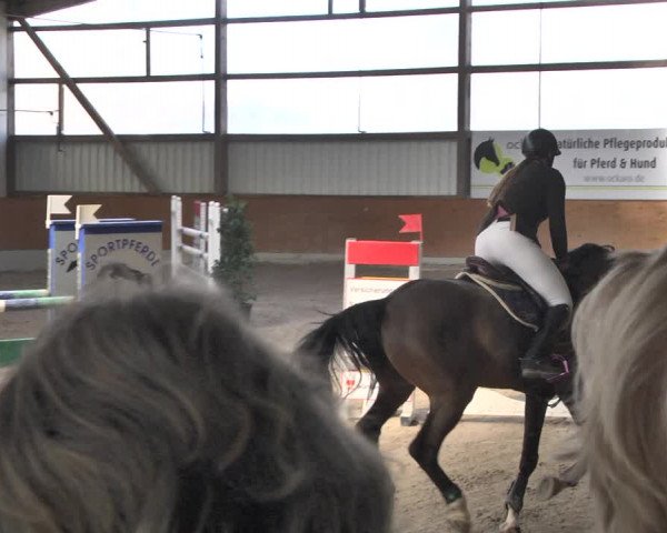 Reitturnier Viernheim 2019