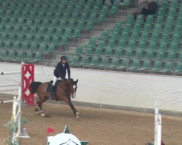 Reitturnier Kreuth/Opf. 2019