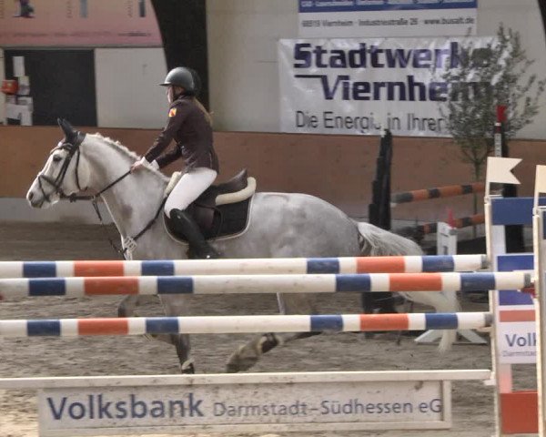 Reitturnier Viernheim 2019