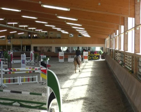 Reitturnier Dettingen 2019