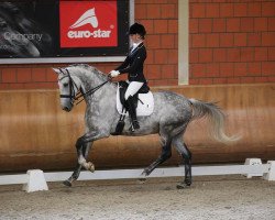 Dressurpferd Ajuhuu (KWPN (Niederländisches Warmblut), 2005, von Casco 4)