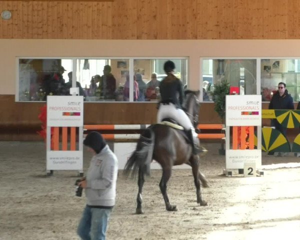 Reitturnier Dettingen 2019