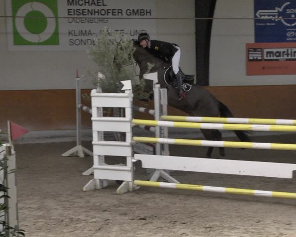 Reitturnier Viernheim 2019