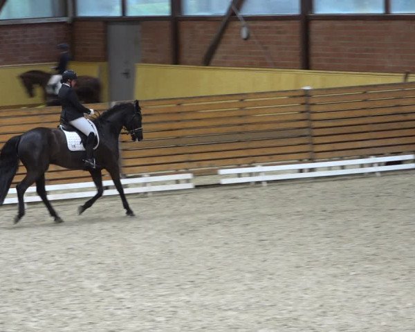 Reitturnier Hamburg-Friedrichshulde/Sylva Kuhrt 2021