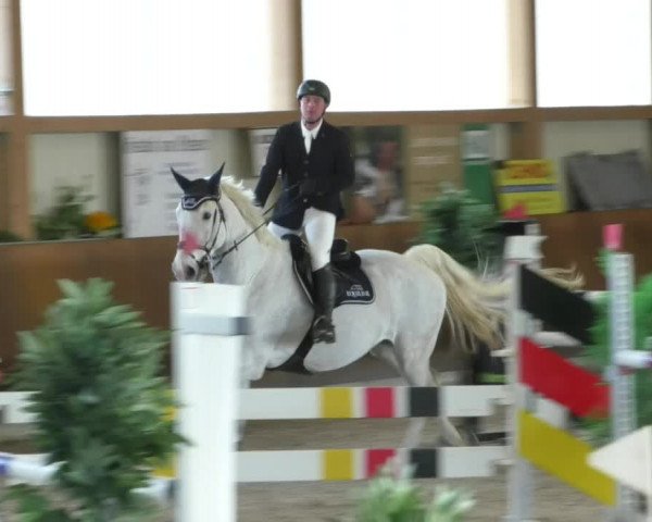 Reitturnier Dettingen 2019