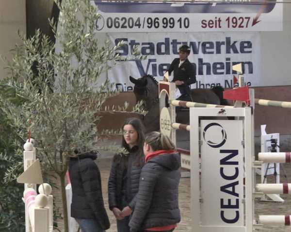 Reitturnier Viernheim 2019
