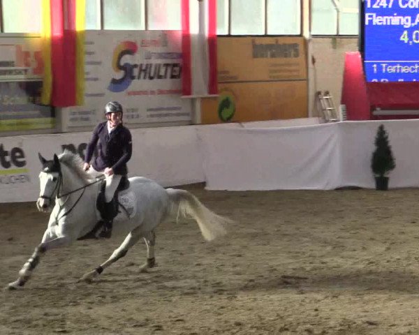Reitturnier Borken 2019