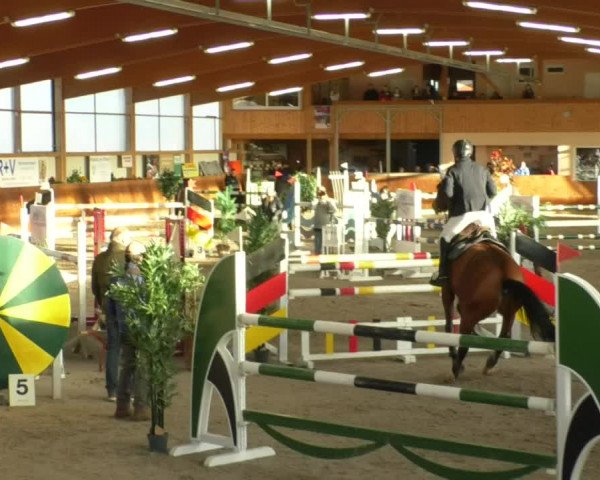 Reitturnier Dettingen 2019