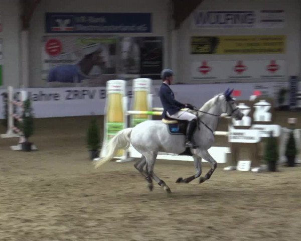 Reitturnier Borken 2019