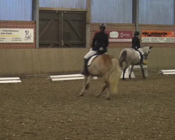 Reitturnier Lembeck 2019