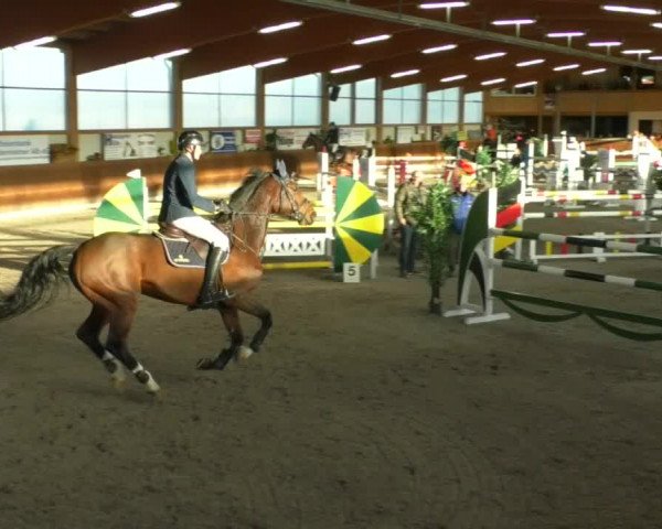 Reitturnier Dettingen 2019