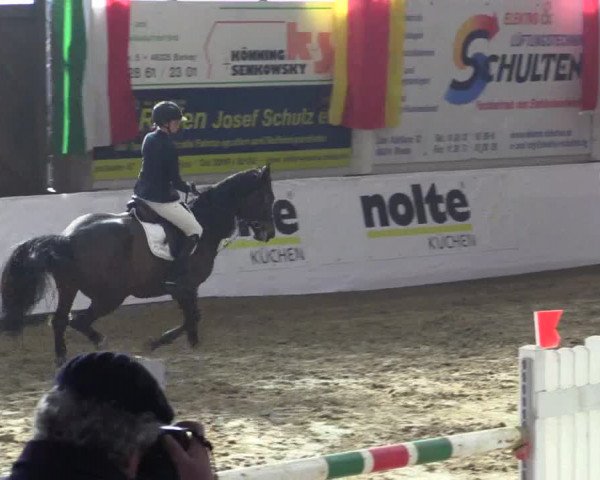 Reitturnier Borken 2019