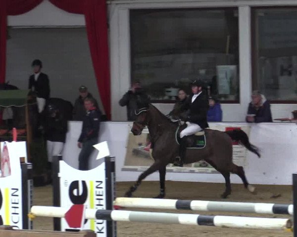 Reitturnier Borken 2019