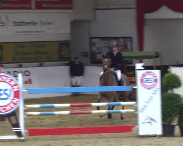 Reitturnier Borken 2019