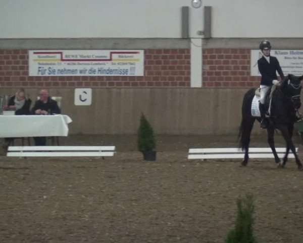 Reitturnier Lembeck 2019