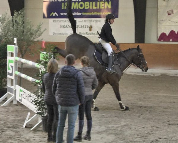Reitturnier Viernheim 2019
