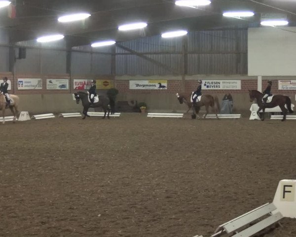 Reitturnier Lembeck 2019