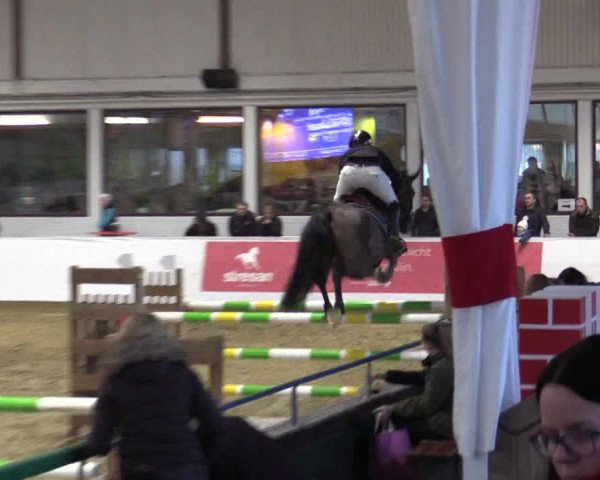 Reitturnier Borken 2019