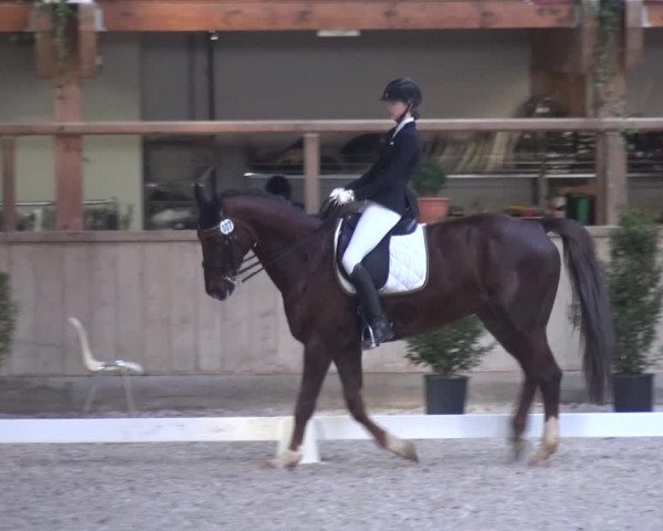 Reitturnier Heidelberg-Kirchheim 2019