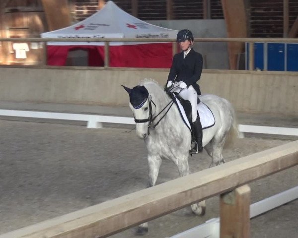 Reitturnier Heidelberg-Kirchheim 2019