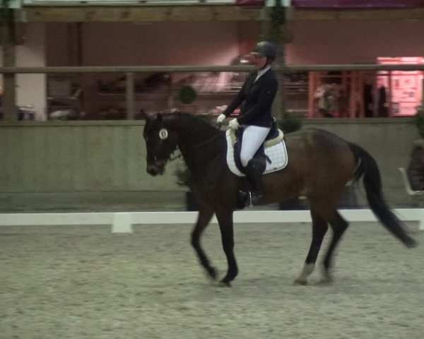 Reitturnier Heidelberg-Kirchheim 2019