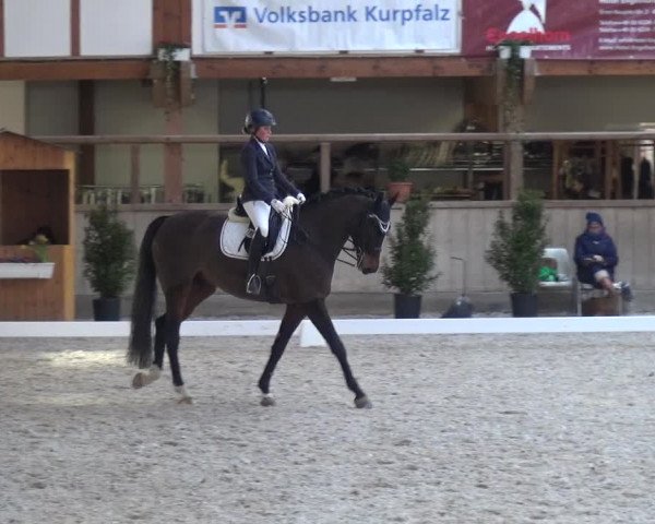 Reitturnier Heidelberg-Kirchheim 2019