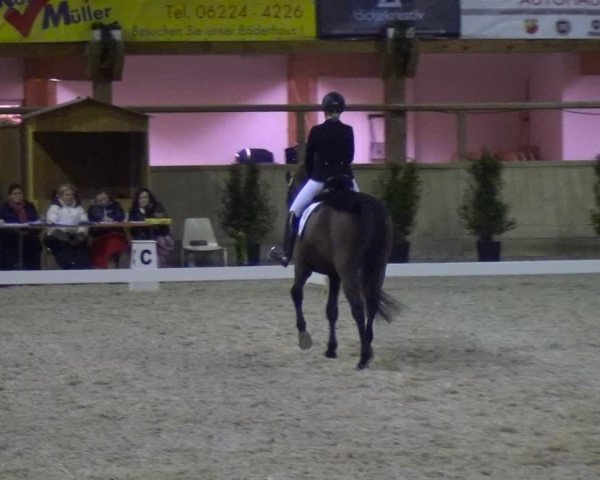 Reitturnier Heidelberg-Kirchheim 2019