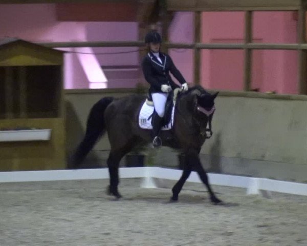 Reitturnier Heidelberg-Kirchheim 2019