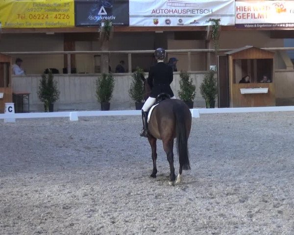 Reitturnier Heidelberg-Kirchheim 2019