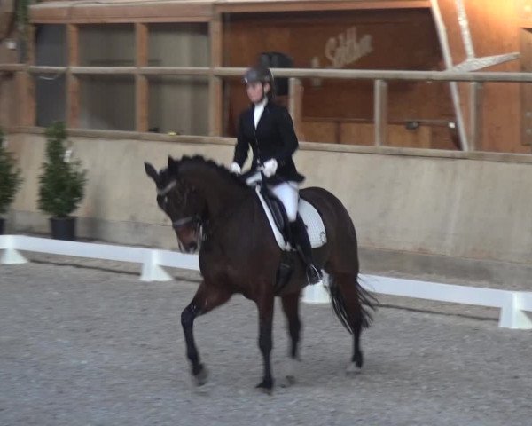 Reitturnier Heidelberg-Kirchheim 2019