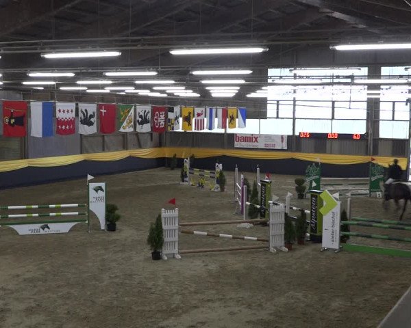 Reitturnier Erlen 2019