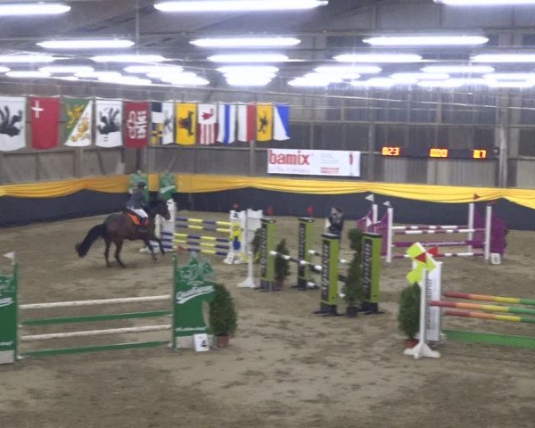 Reitturnier Erlen 2019