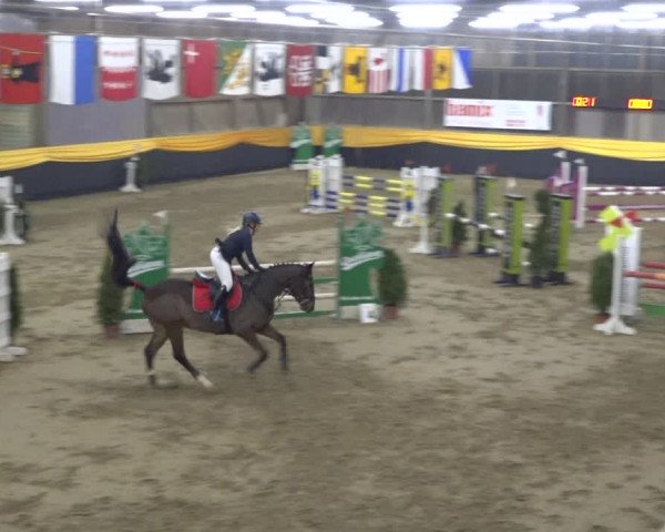 Reitturnier Erlen 2019