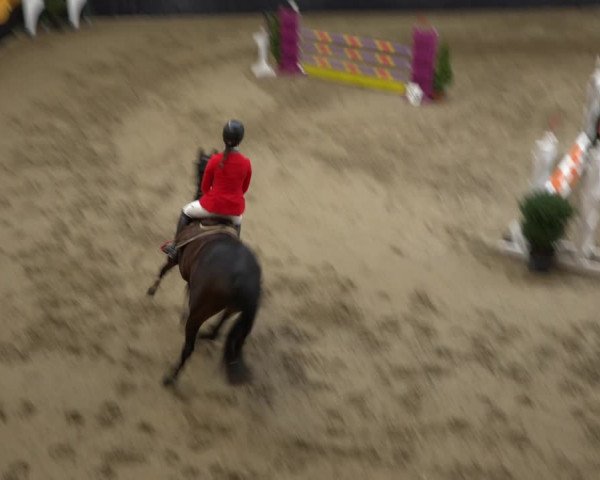 Reitturnier Erlen 2019