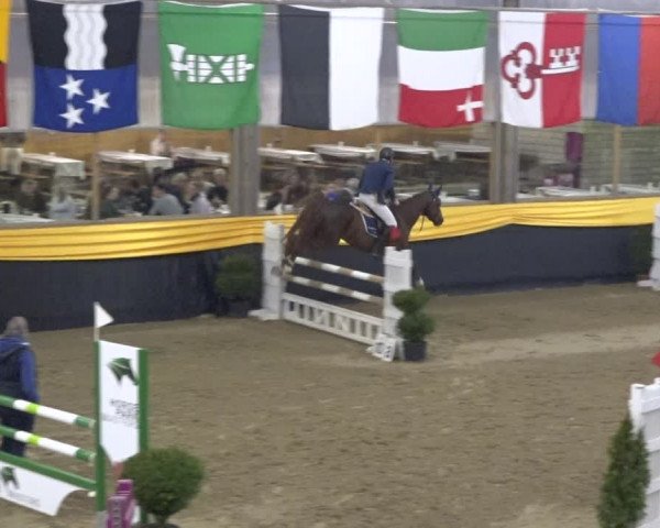 Reitturnier Erlen 2019