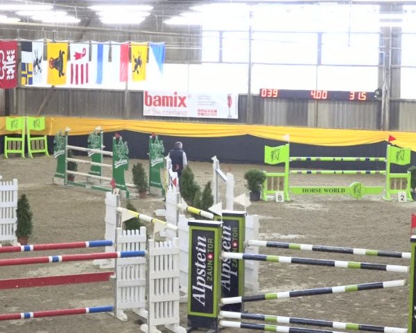 Reitturnier Erlen 2019