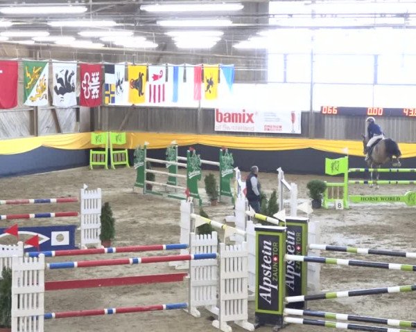 Reitturnier Erlen 2019
